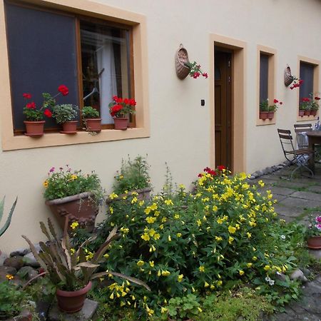 Casa Lia Hotel Sighişoara Exterior foto